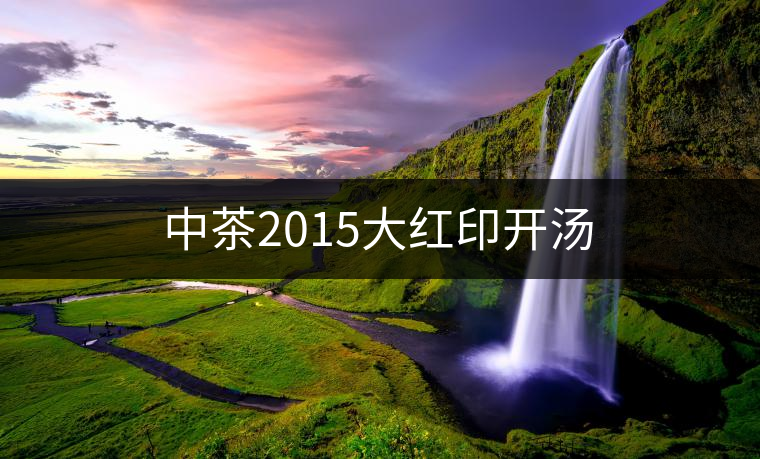 中茶2015大紅印開湯 中茶2015大紅印開湯