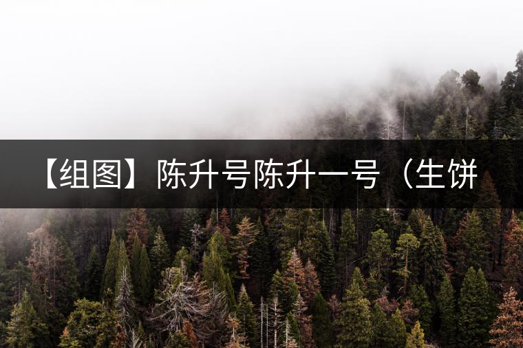 【組圖】陳升號(hào)陳升一號(hào)（生餅）開(kāi)湯
