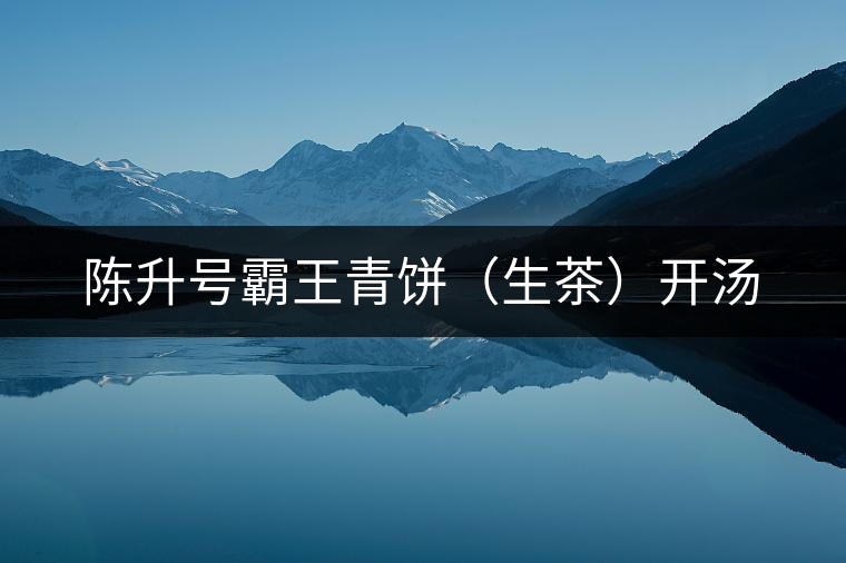陳升號霸王青餅(生茶)開湯 陳升號霸王青餅(生茶)開湯