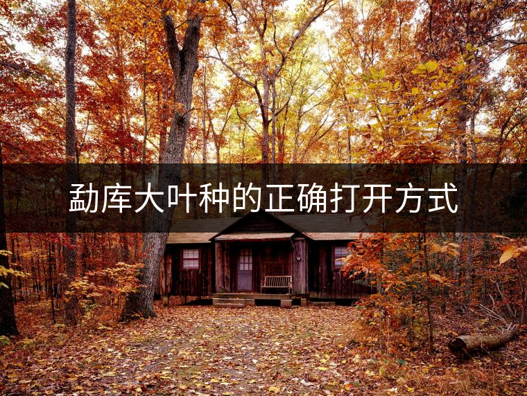 勐庫(kù)大葉種的正確打開(kāi)方式 勐庫(kù)大葉種的正確打開(kāi)方式