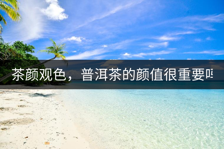 茶顏觀色，普洱茶的顏值很重要嗎？