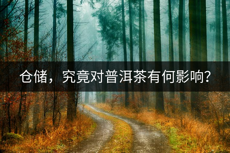 倉儲，究竟對普洱茶有何影響？