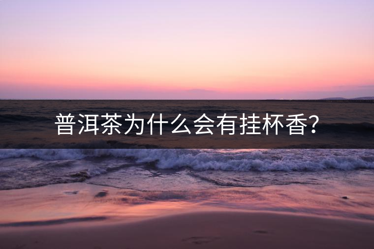 普洱茶為什么會有掛杯香？