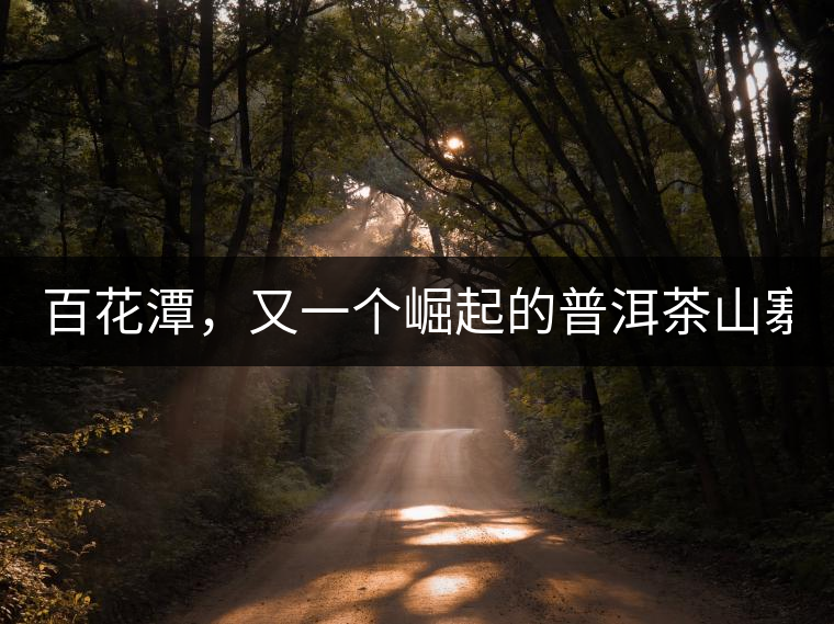 百花潭，又一個崛起的普洱茶山寨！