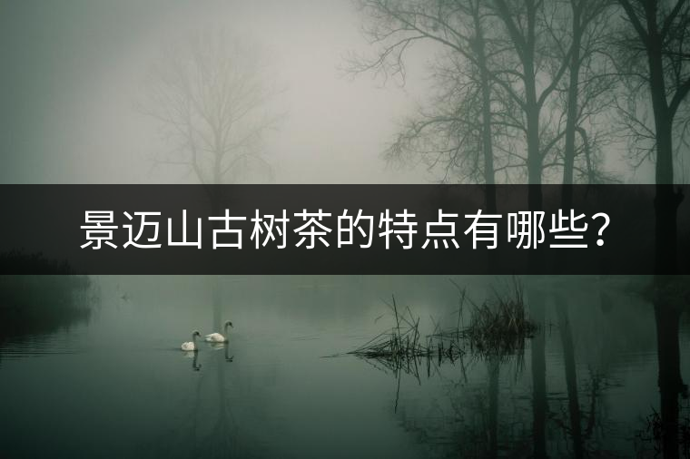 景邁山古樹(shù)茶的特點(diǎn)有哪些？