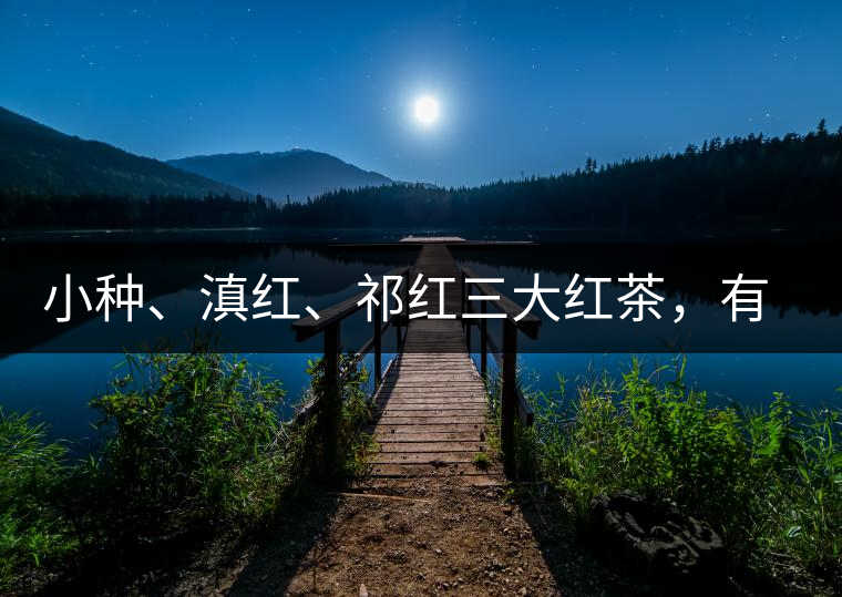 小種、滇紅、祁紅三大紅茶，有何區(qū)別