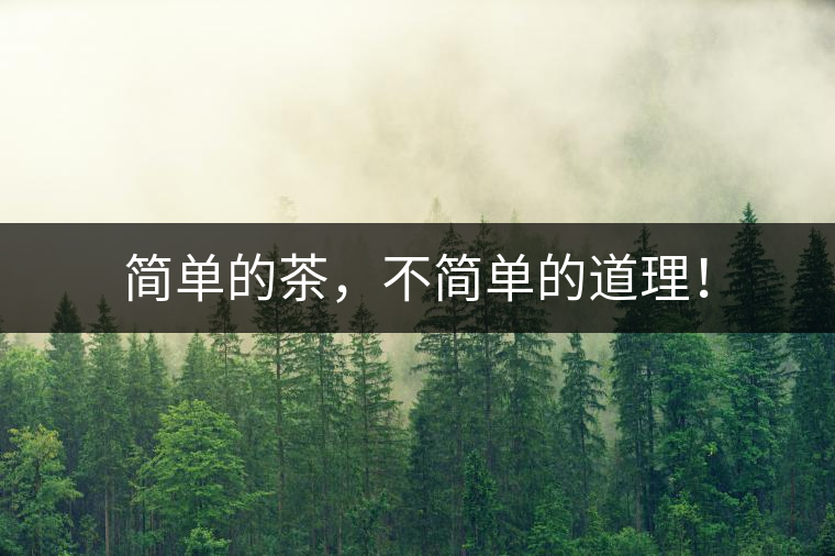 簡單的茶，不簡單的道理！