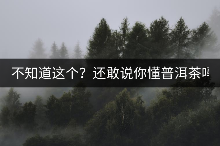 不知道這個？還敢說你懂普洱茶嗎？