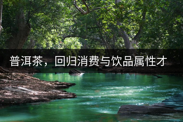 普洱茶，回歸消費(fèi)與飲品屬性才是正途