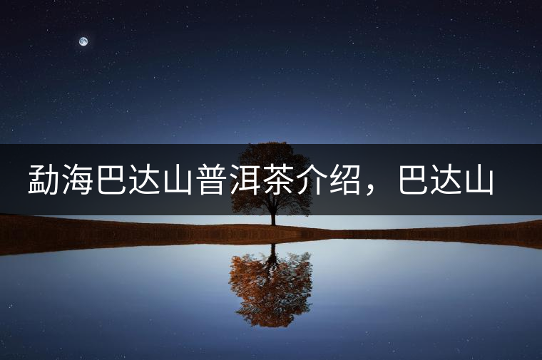 勐海巴達(dá)山普洱茶介紹，巴達(dá)山古樹(shù)茶口感特點(diǎn)