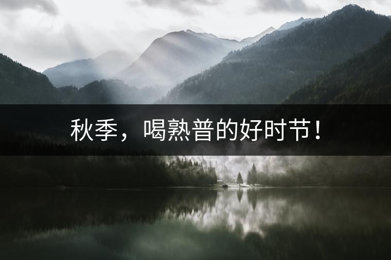 秋季，喝熟普的好時節(jié)！