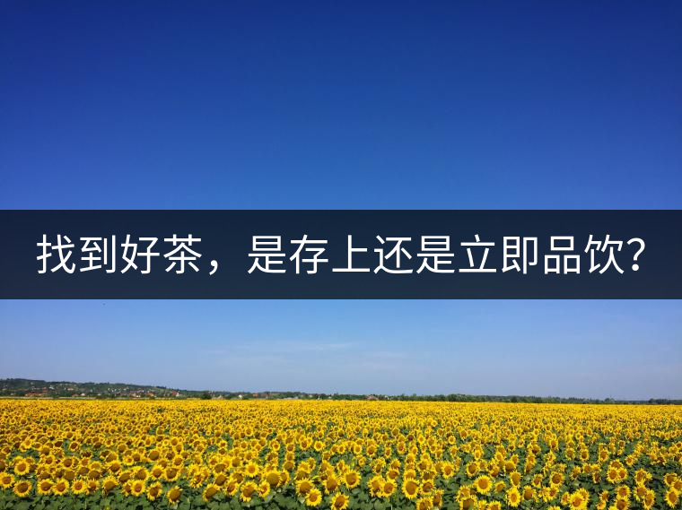找到好茶，是存上還是立即品飲？