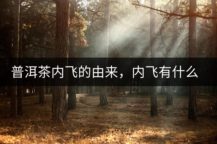 普洱茶內(nèi)飛的由來(lái)，內(nèi)飛有什么作用？