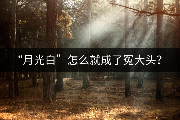 “月光白”怎么就成了冤大頭？