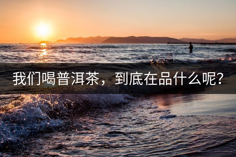 我們喝普洱茶，到底在品什么呢？