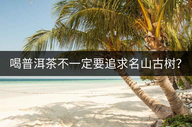 喝普洱茶不一定要追求名山古樹? 喝普洱茶不一定要追求名山古樹?
