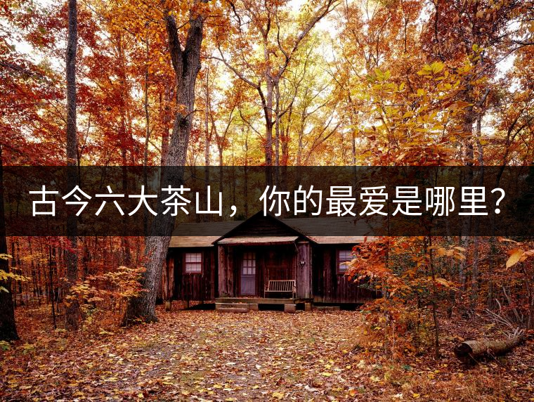 古今六大茶山，你的最愛(ài)是哪里？