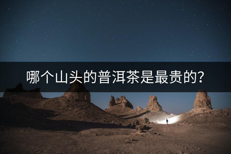 哪個山頭的普洱茶是最貴的？