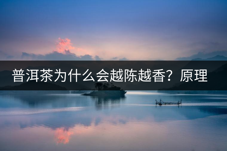 普洱茶為什么會越陳越香？原理是什么？