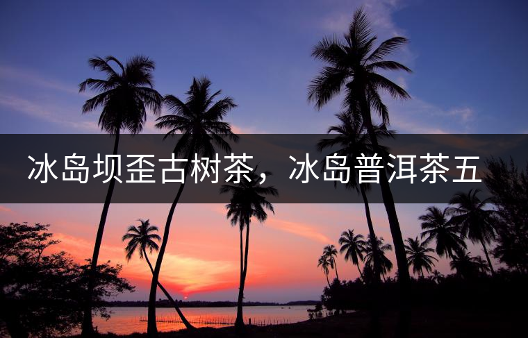 冰島壩歪古樹茶，冰島普洱茶五寨之一
