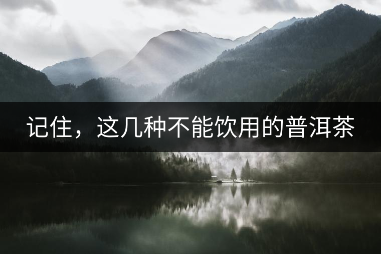 記住，這幾種不能飲用的普洱茶