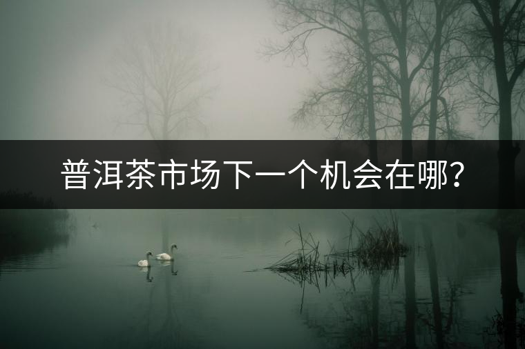 普洱茶市場(chǎng)下一個(gè)機(jī)會(huì)在哪？