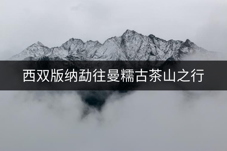 西雙版納勐往曼糯古茶山之行