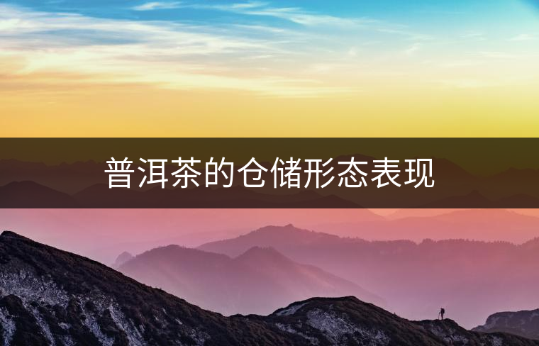 普洱茶的倉儲(chǔ)形態(tài)表現(xiàn)