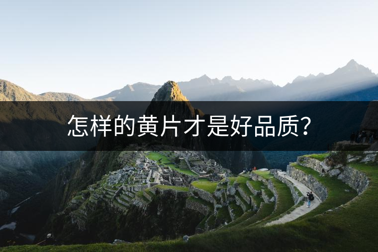 怎樣的黃片才是好品質(zhì)？