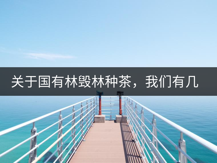 關于國有林毀林種茶，我們有幾點不得不說