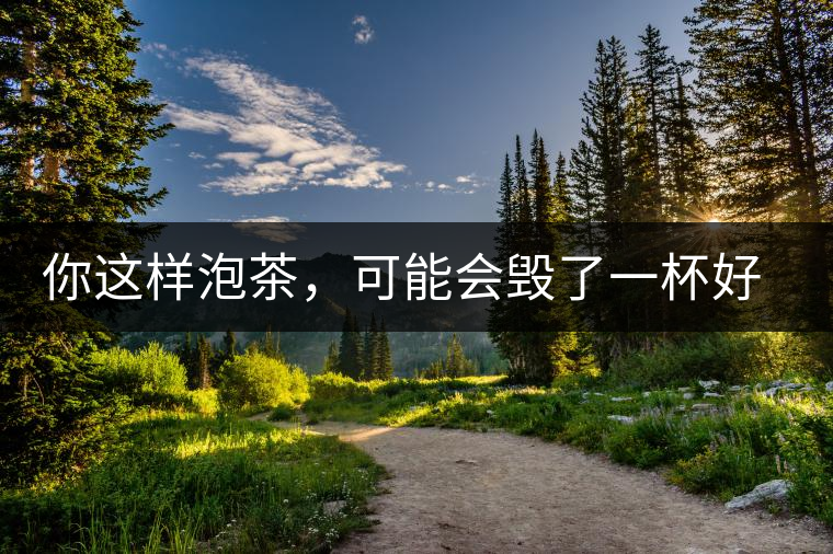 你這樣泡茶，可能會毀了一杯好茶