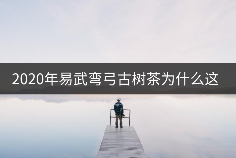 2020年易武彎弓古樹(shù)茶為什么這么貴？