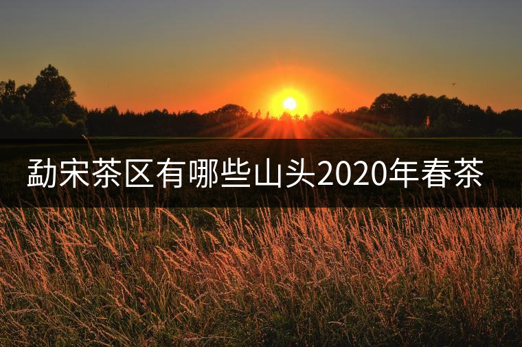 勐宋茶區(qū)有哪些山頭2020年春茶價(jià)格？