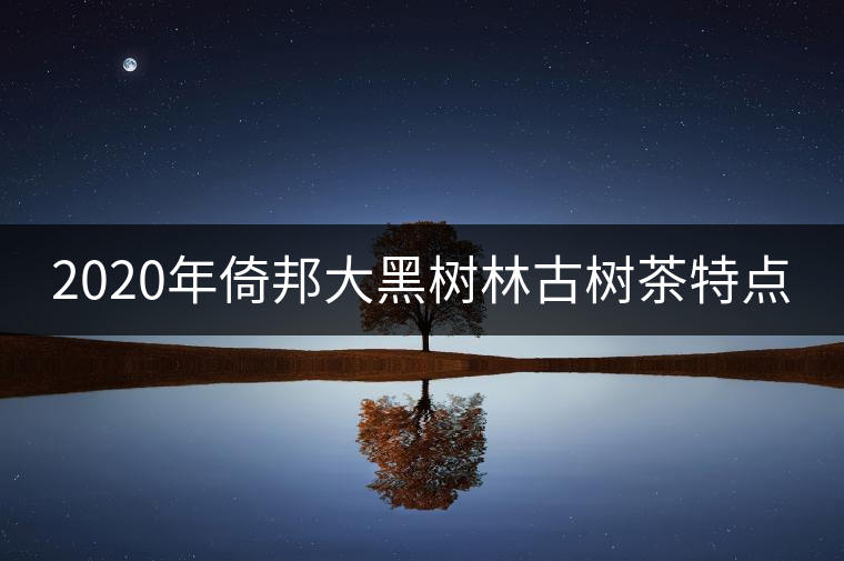 2020年倚邦大黑樹林古樹茶特點 2020年倚邦大黑樹林古樹茶特點