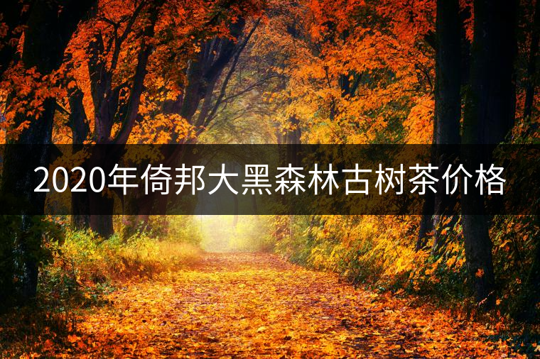 2020年倚邦大黑森林古樹(shù)茶價(jià)格