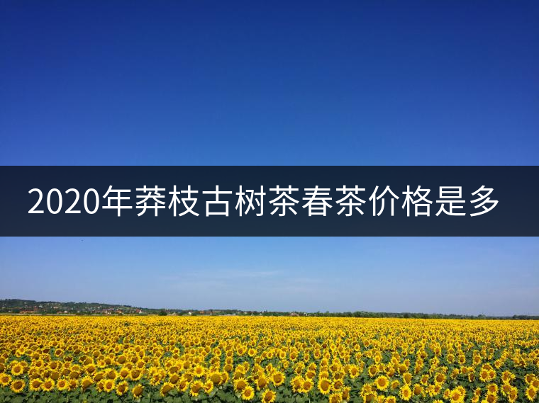 2020年莽枝古樹茶春茶價(jià)格是多少錢？