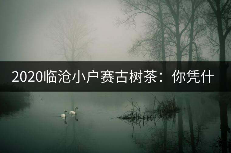 2020臨滄小戶賽古樹茶：你憑什么當冰島賣？