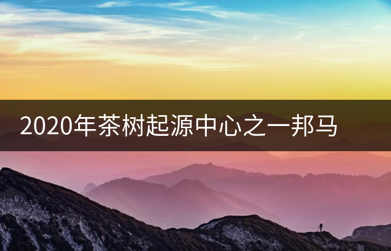 2020年茶樹起源中心之一邦馬大雪山上有哪些神秘的村寨？