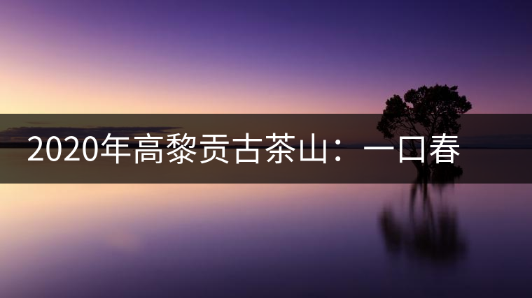 2020年高黎貢古茶山：一口春茶香，一口騰沖味