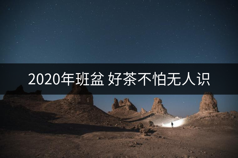 2020年班盆 好茶不怕無(wú)人識(shí) 2020年班盆 好茶不怕無(wú)人識(shí)