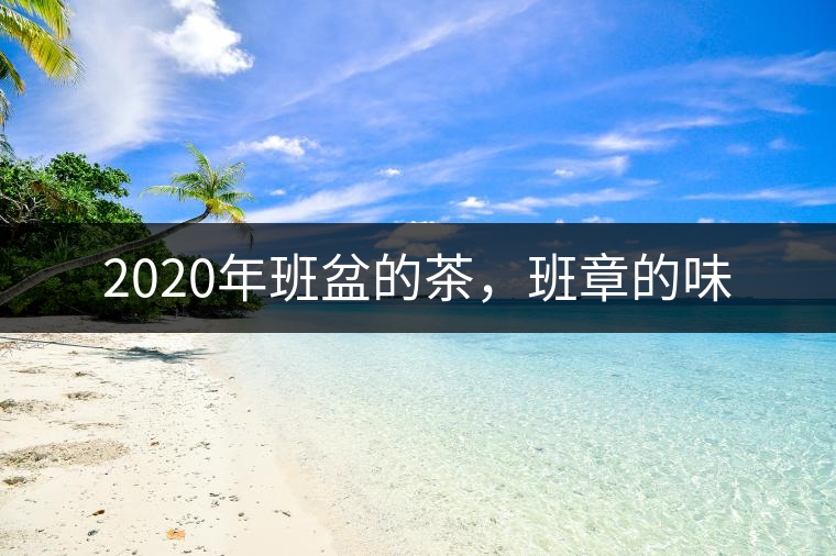 2020年班盆的茶，班章的味
