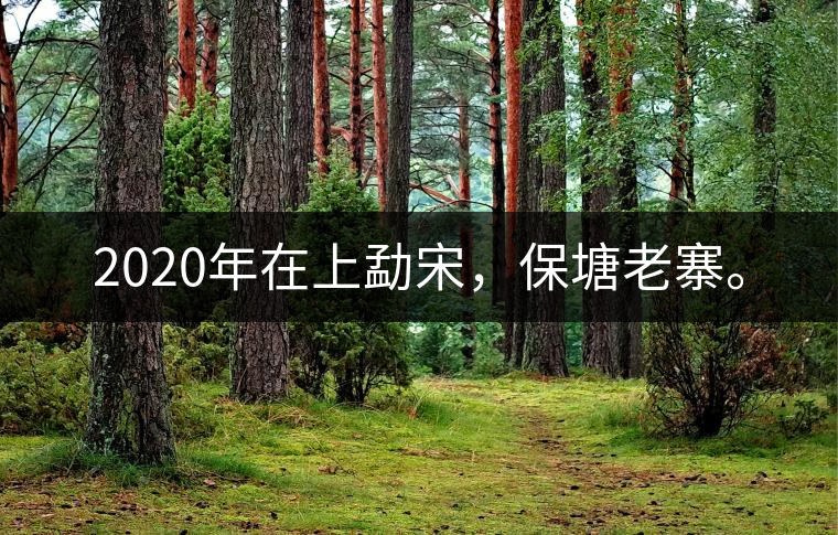 2020年在上勐宋，保塘老寨。