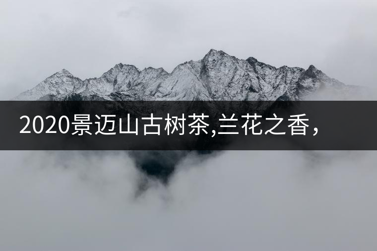 2020景邁山古樹茶,蘭花之香，自然之味