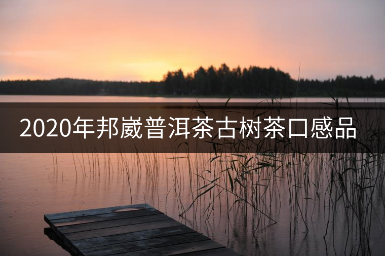 2020年邦崴普洱茶古樹茶口感品鑒 2020年邦崴普洱茶古樹茶口感品鑒