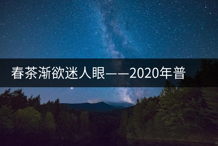 春茶漸欲迷人眼——2020年普洱春茶上市，可別買假了