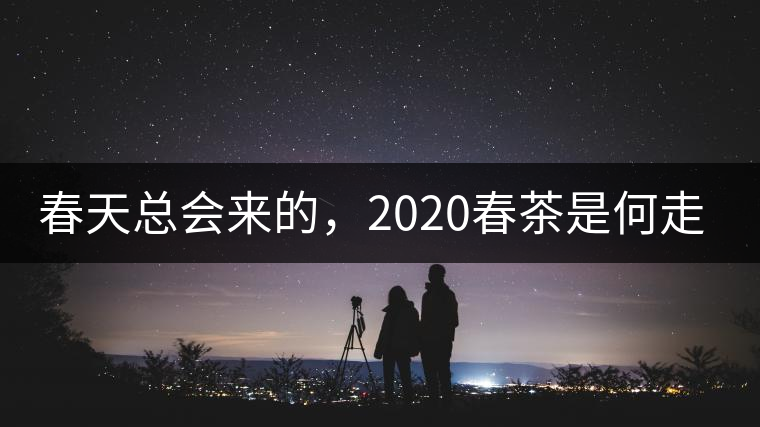 春天總會來的，2020春茶是何走勢？