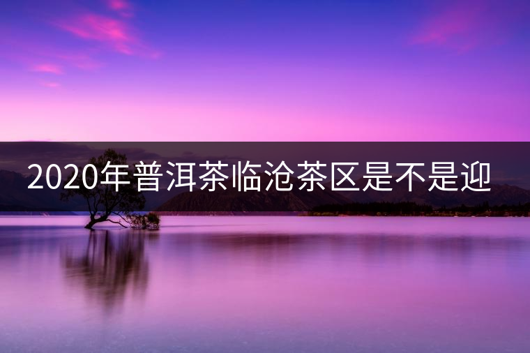 2020年普洱茶臨滄茶區(qū)是不是迎來最好機(jī)遇？