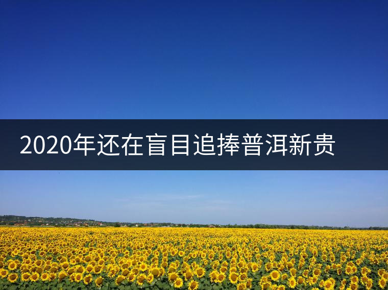 2020年還在盲目追捧普洱新貴“貓耳朵”？我們深入產(chǎn)區(qū)為你揭示最真實(shí)的“貓耳朵”！