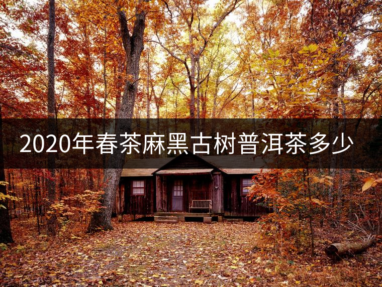 2020年春茶麻黑古樹(shù)普洱茶多少錢(qián)一斤 2020年春茶麻黑古樹(shù)普洱茶多少錢(qián)一斤