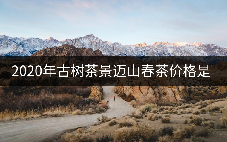 2020年古樹茶景邁山春茶價格是多少？